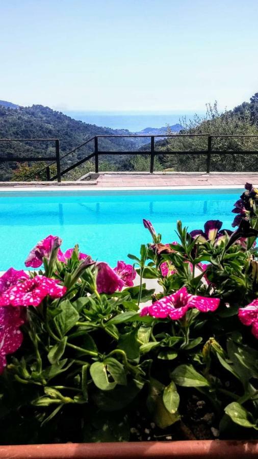 Agriturismo Osteria Du Barba Pe' - Casa Miranda Seborga Kültér fotó